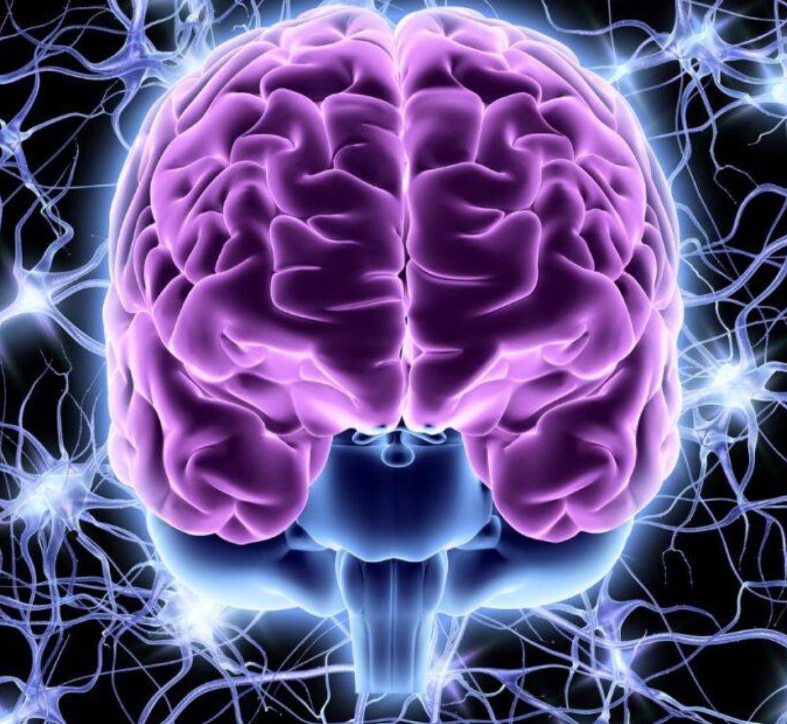 En este momento estás viendo Exploring the Connection Between Cannabis and Neuroplasticity